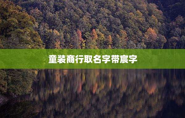 童装商行取名字带宸字