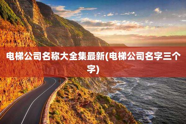 电梯公司名称大全集最新(电梯公司名字三个字)