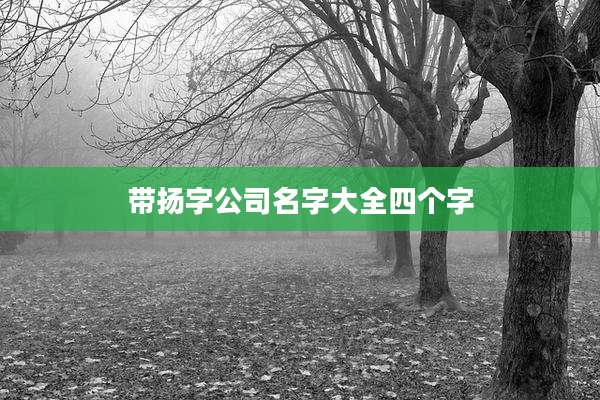带扬字公司名字大全四个字