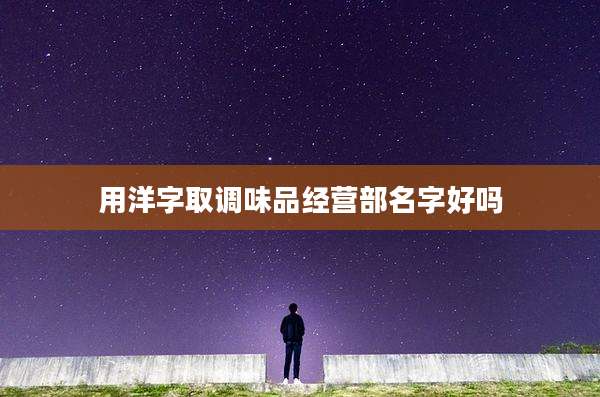 用洋字取调味品经营部名字好吗