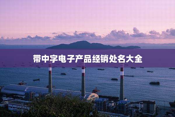 带中字电子产品经销处名大全