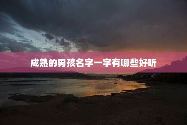 成熟的男孩名字一字有哪些好听