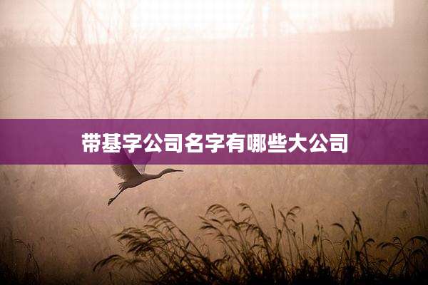 带基字公司名字有哪些大公司