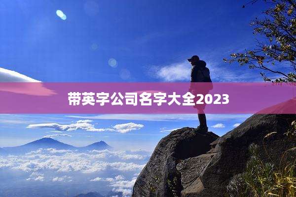 带英字公司名字大全2023