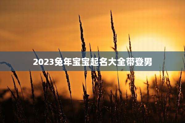 2023兔年宝宝起名大全带登男