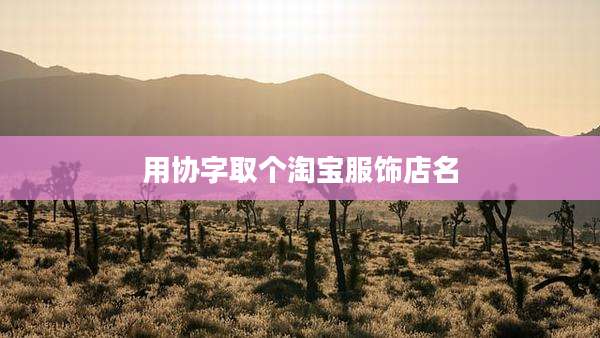 用协字取个淘宝服饰店名