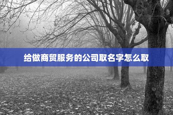 给做商贸服务的公司取名字怎么取