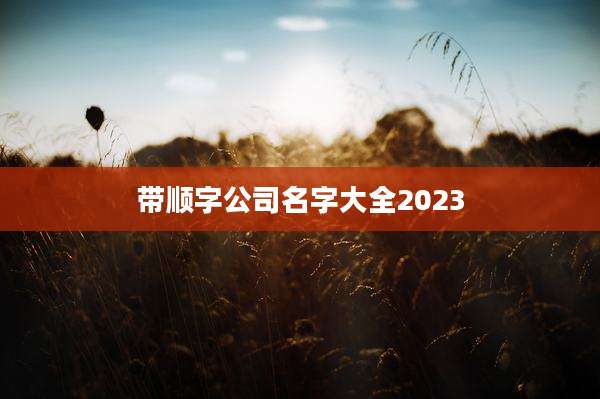 带顺字公司名字大全2023