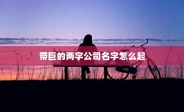 带巨的两字公司名字怎么起