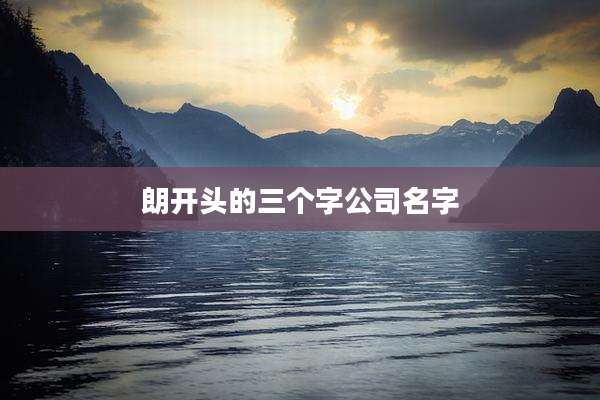 朗开头的三个字公司名字