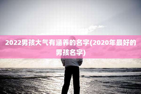 2022男孩大气有涵养的名字(2020年最好的男孩名字)
