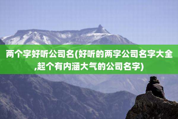两个字好听公司名(好听的两字公司名字大全,起个有内涵大气的公司名字)