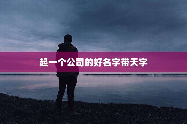 起一个公司的好名字带天字