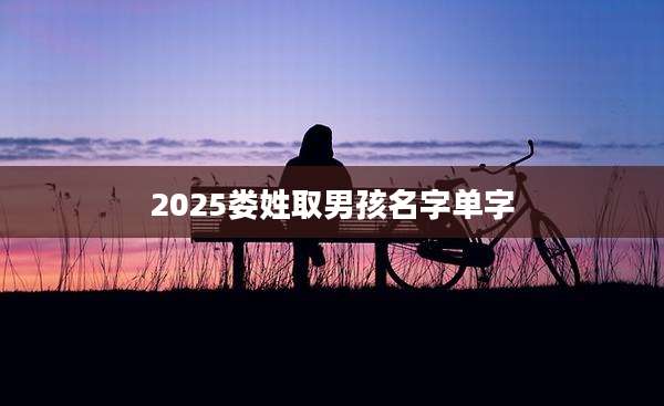 2025娄姓取男孩名字单字