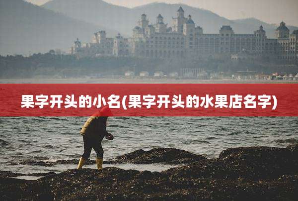 果字开头的小名(果字开头的水果店名字)