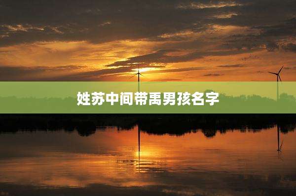 姓苏中间带禹男孩名字