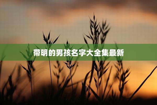 带明的男孩名字大全集最新