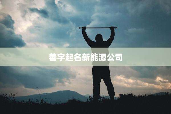 善字起名新能源公司
