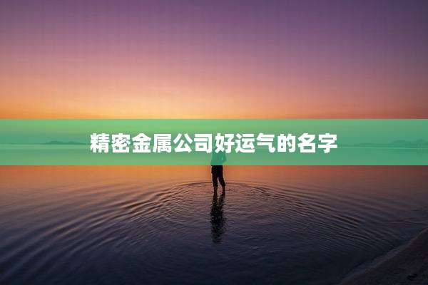 精密金属公司好运气的名字