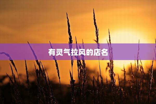 有灵气拉风的店名