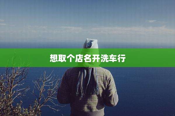 想取个店名开洗车行