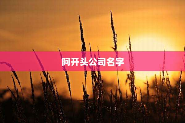 阿开头公司名字