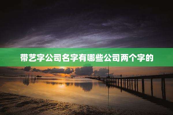 带艺字公司名字有哪些公司两个字的