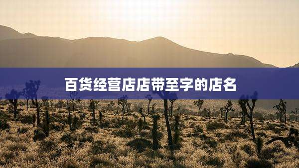 百货经营店店带至字的店名