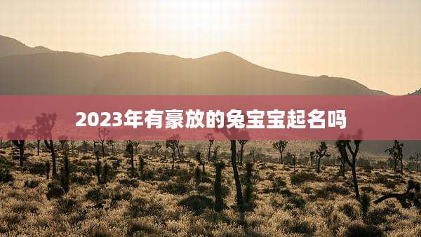 2023年有豪放的兔宝宝起名吗