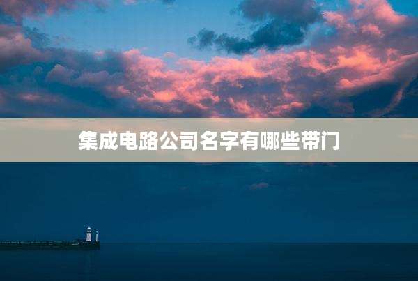 集成电路公司名字有哪些带门