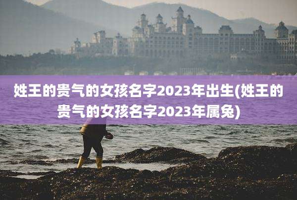 姓王的贵气的女孩名字2023年出生(姓王的贵气的女孩名字2023年属兔)