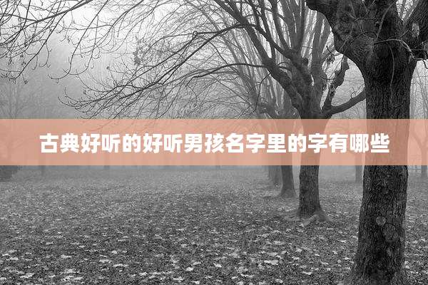 古典好听的好听男孩名字里的字有哪些
