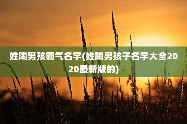 姓陶男孩霸气名字(姓陶男孩子名字大全2020最新版的)