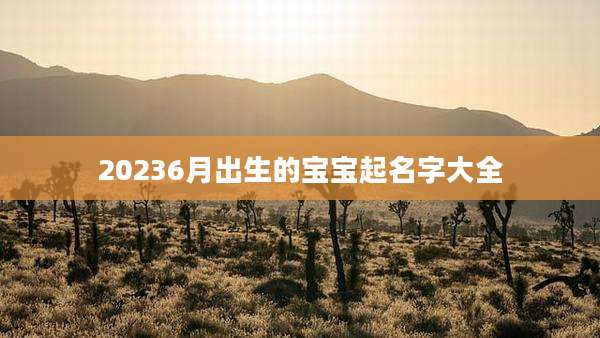 20236月出生的宝宝起名字大全