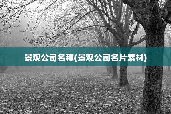 景观公司名称(景观公司名片素材)