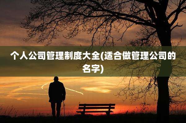 个人公司管理制度大全(适合做管理公司的名字)
