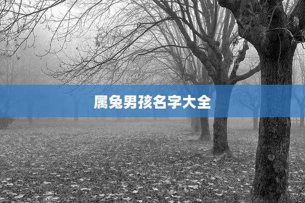 属兔男孩名字大全