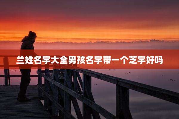 兰姓名字大全男孩名字带一个芝字好吗