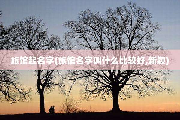 旅馆起名字(旅馆名字叫什么比较好,新颖)