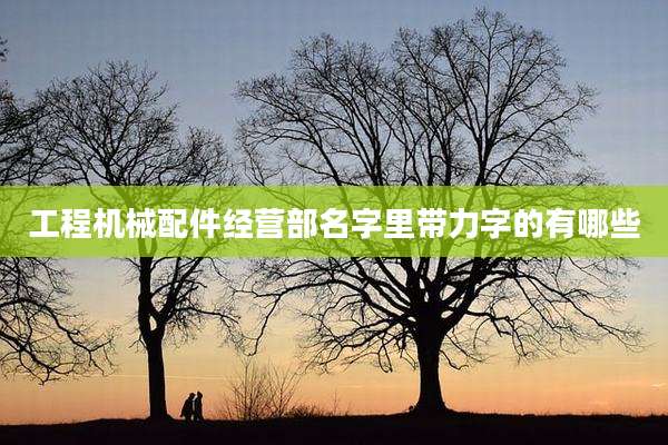 工程机械配件经营部名字里带力字的有哪些