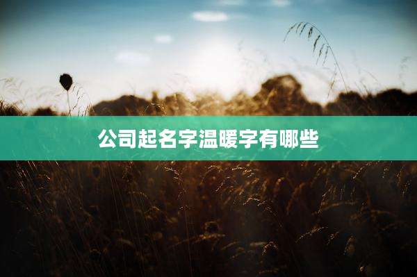 公司起名字温暖字有哪些
