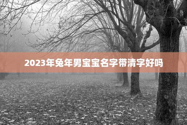 2023年兔年男宝宝名字带清字好吗