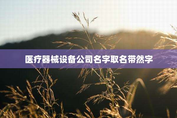 医疗器械设备公司名字取名带然字