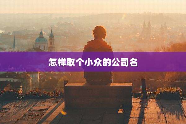 怎样取个小众的公司名