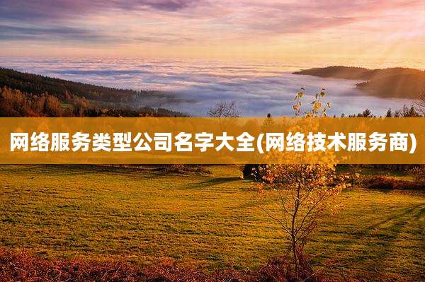 网络服务类型公司名字大全(网络技术服务商)