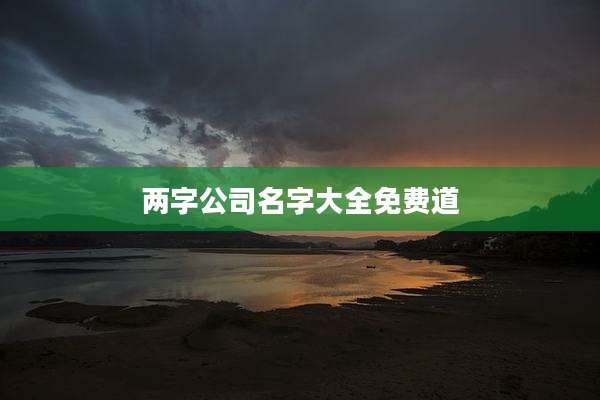 两字公司名字大全免费道
