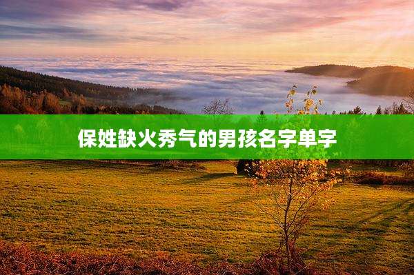 保姓缺火秀气的男孩名字单字