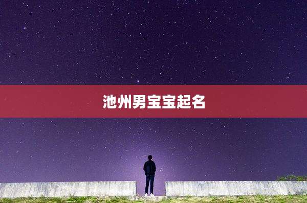 池州男宝宝起名