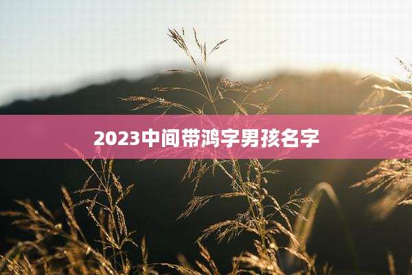 2023中间带鸿字男孩名字