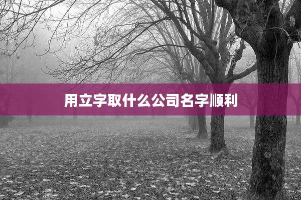 用立字取什么公司名字顺利